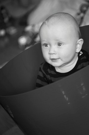 Gal_131805_0117 copy